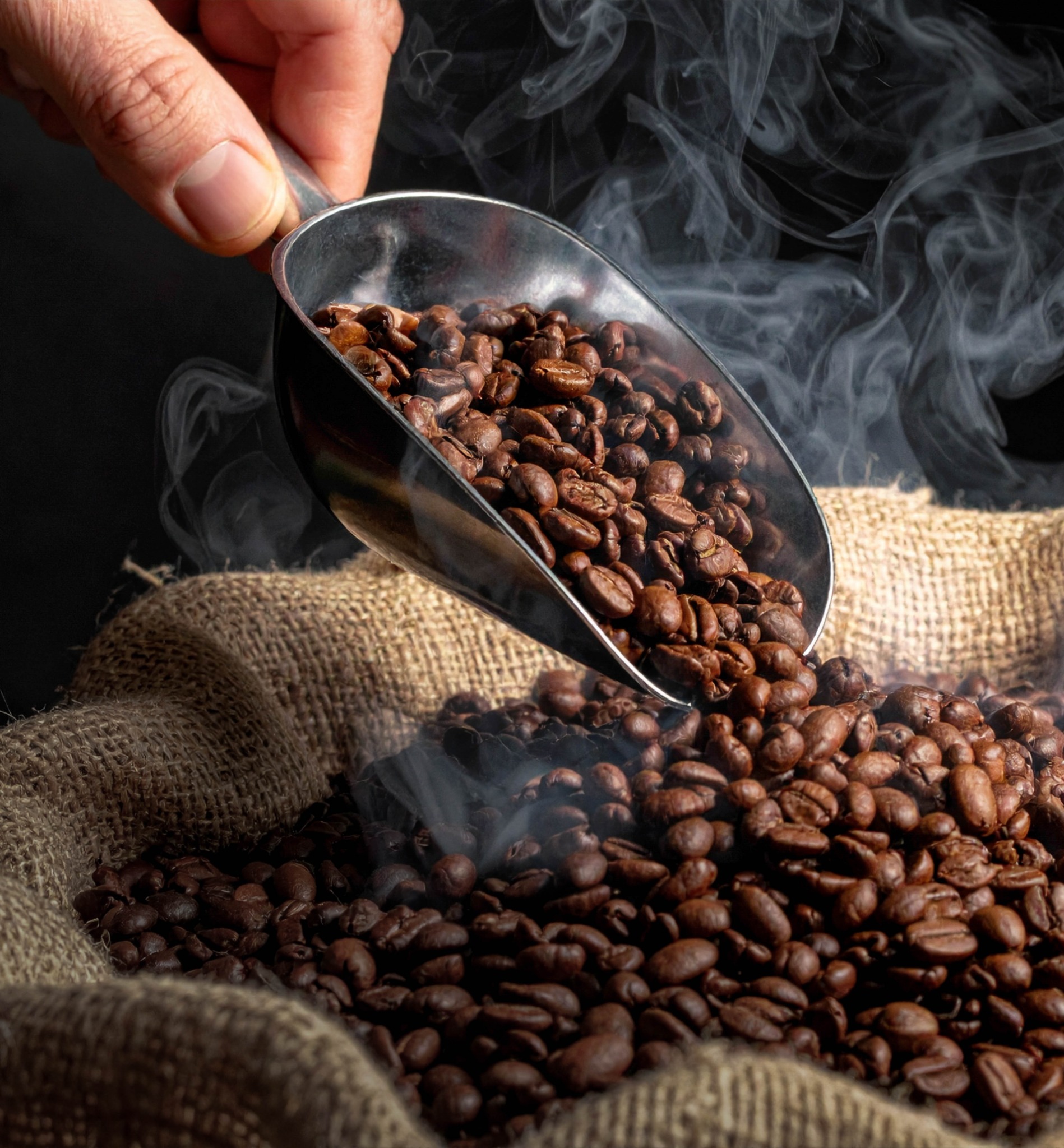 Grãos de café recém-torrados sendo recolhidos — CARTEL Torrefação Artesanal